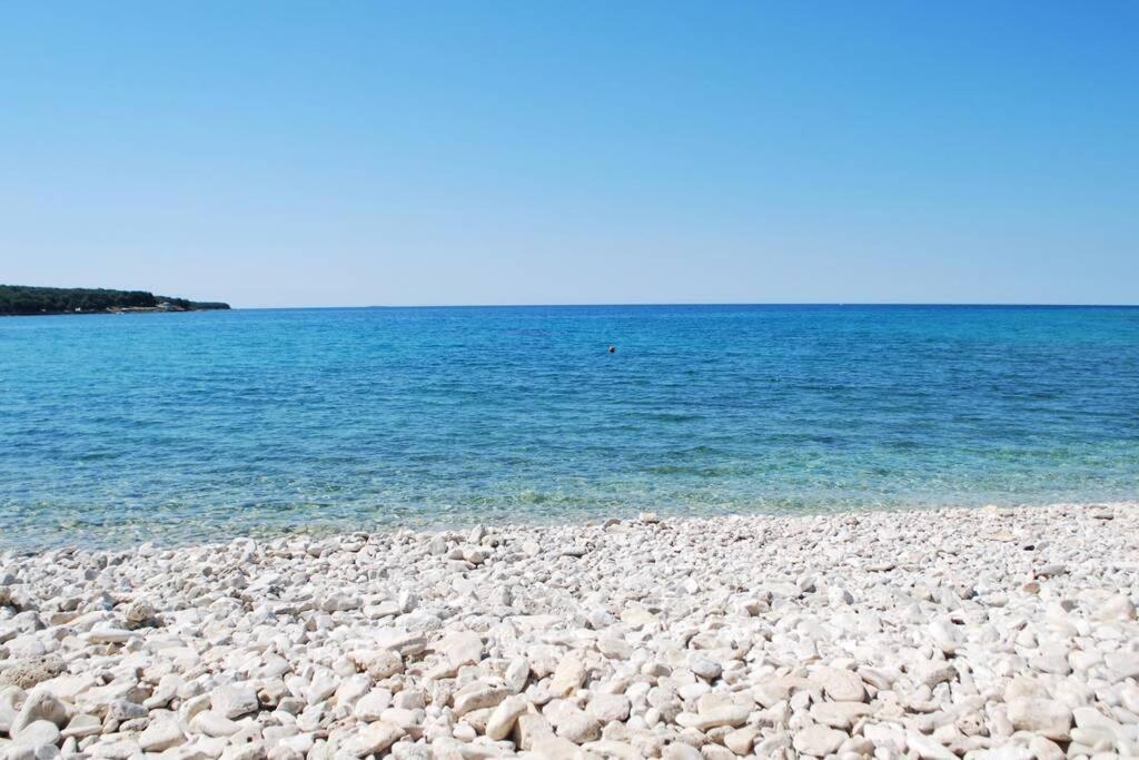 Villa Birds House Rovinj Kültér fotó